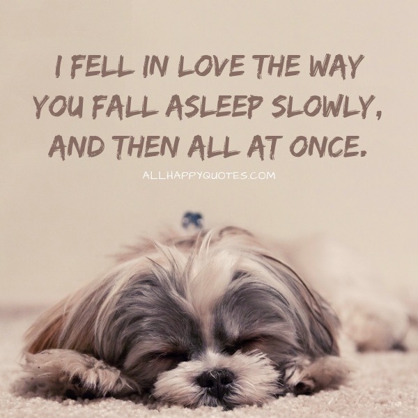 57 Cute Love Quotes For The Cutest In Your Life 57 Cute Love Quotes For The Cutest In Your Life