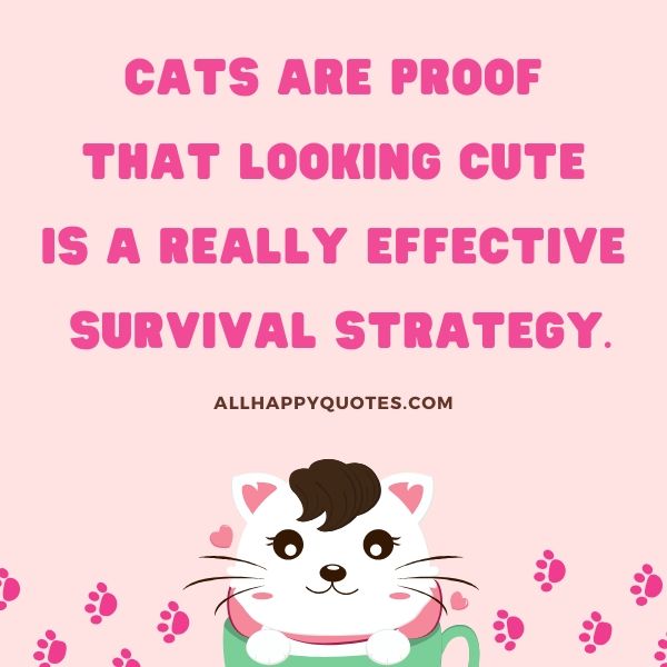 thought of the day monday